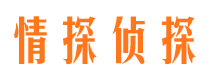 蜀山外遇出轨调查取证